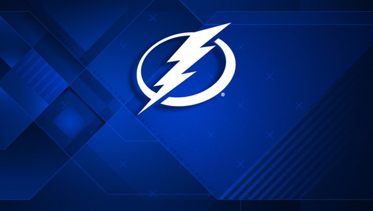 d6563f8f-Tampa Bay Lightning logo