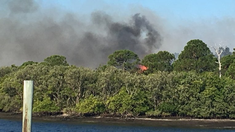 f2db32c7-Brush fire Anclote Park.jpg