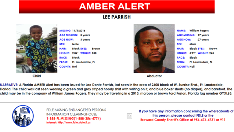 ca69d77e-amber alert flyer.PNG