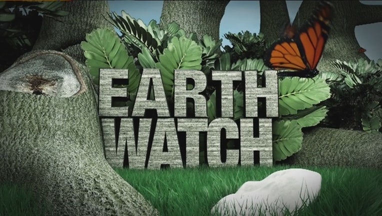 12b5be55-Earth Watch