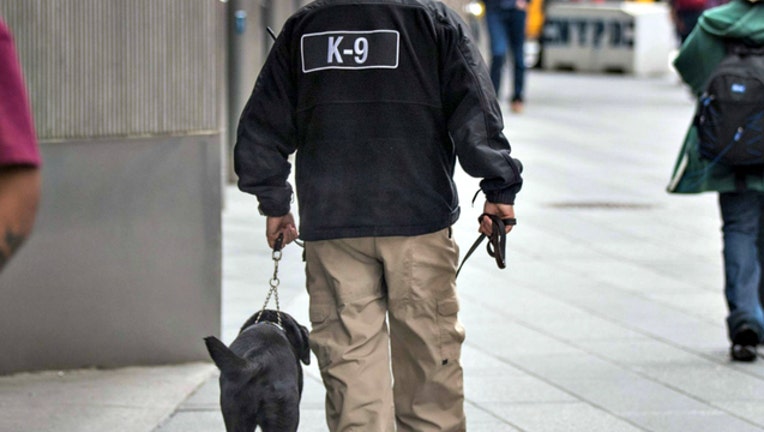 GETTY k9 police dog_1525829097794.jpg-404023-404023.jpg