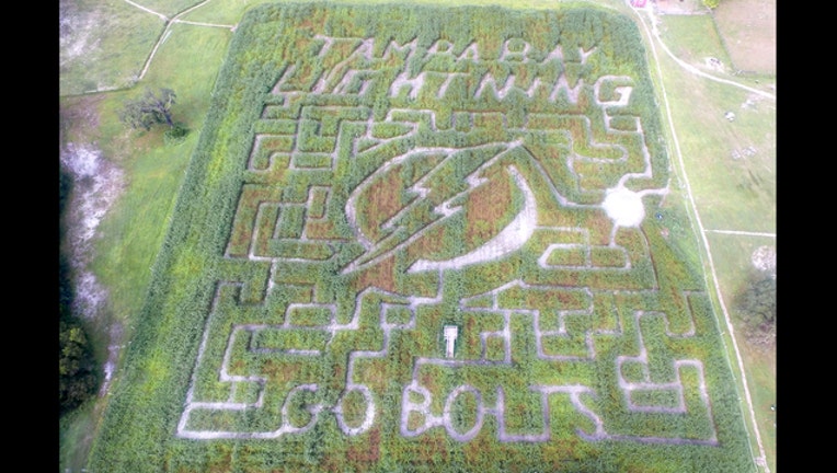 2d2e1a88-Lightning corn maze actual maze_1443483398149.jpg