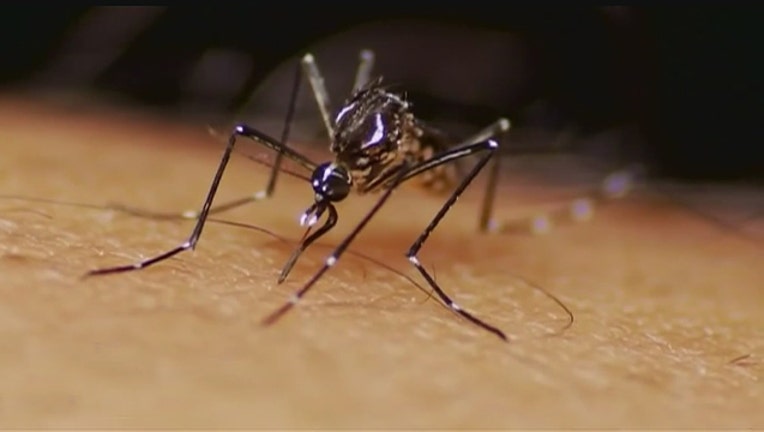 State Health Officials Confirm Dengue Fever Case In Florida Keys