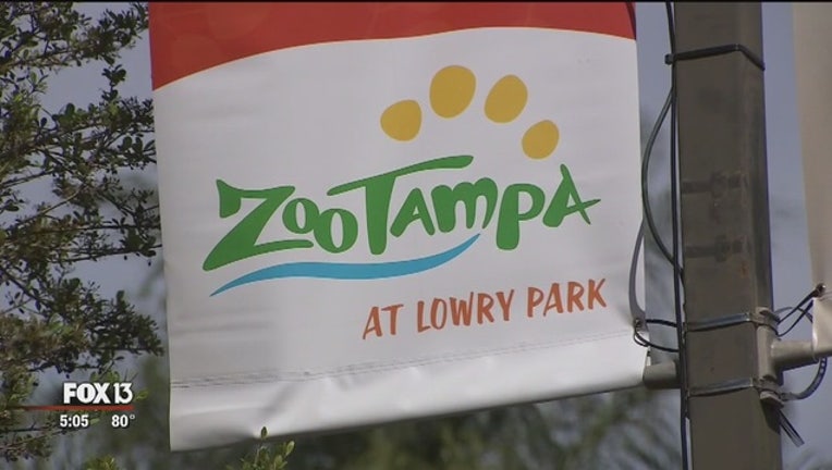 fc07ddc8-ZooTampa_0_20190410213351