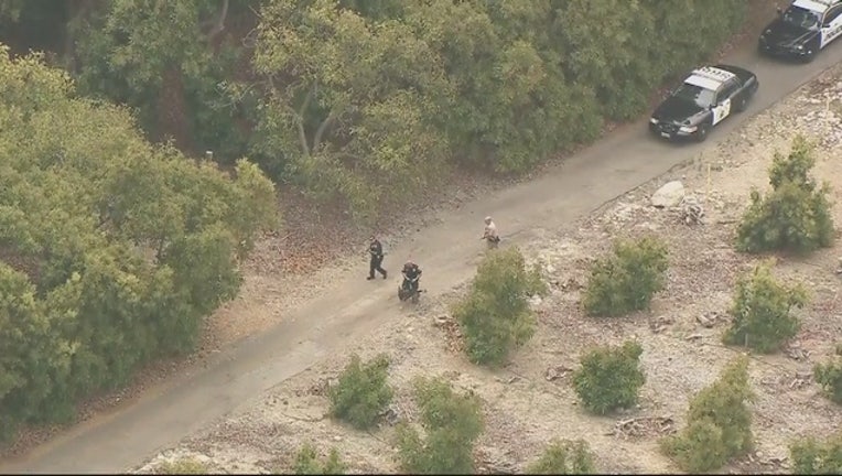 ddac6b88-Police_pursuit_at_high_speeds_of_wrong_w_0_20170505182843-407068