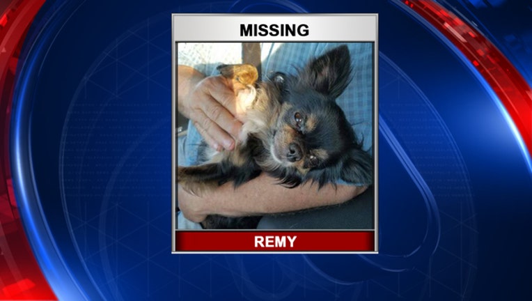 e519109b-REMY_1512385882761.jpg