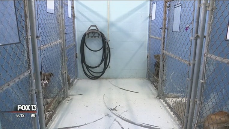 244906be-SPCA_Suncoast_desperate_for_donations_0_20170627225518