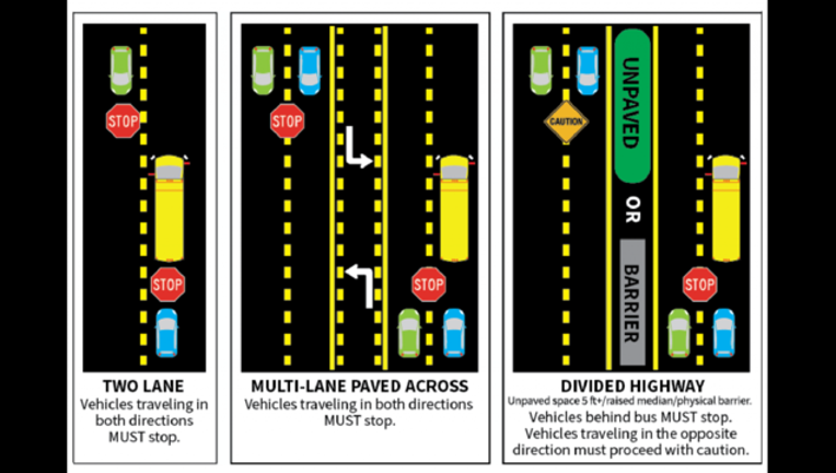 School_buses-03-01-1024x691_1502299202943.png