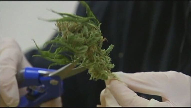 c760ee7c-medicalmarijuana_1483442975711.jpg