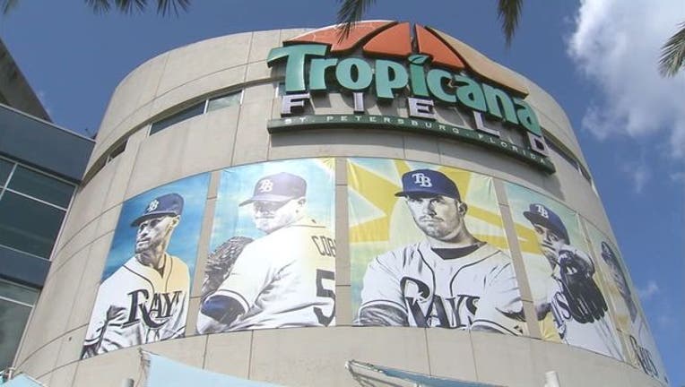 RAYS STADIUM TROPICANA FIELD