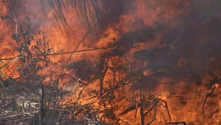 pascofire_1492010031269.jpg