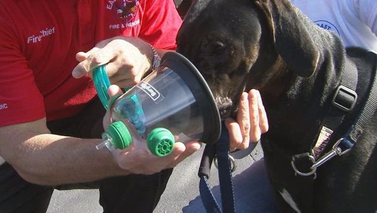 7386611d-Pet Oxygen Mask