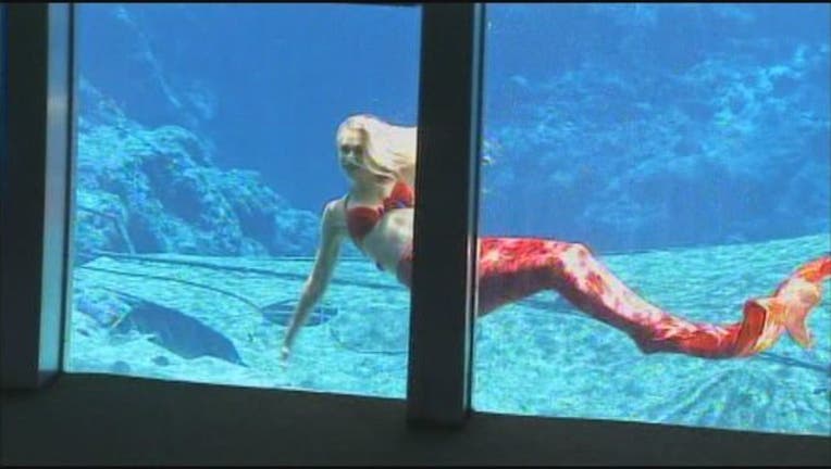 Weeki Wachee Holding Auditions For New Mermaids Fox 13 Tampa Bay