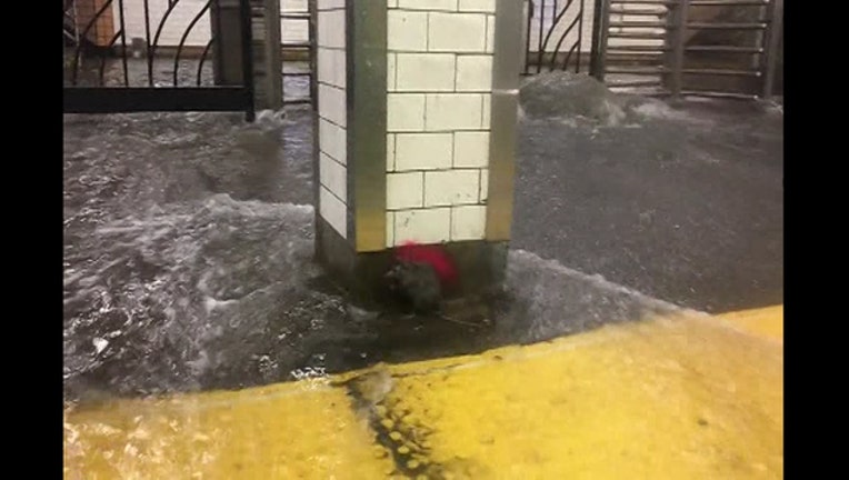 d8b7305f-Subway_rat_tries_to_avoid_platform_flood_0_20180920130517