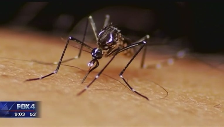 da5f64d1-Two_cases_of_Zika_virus_in_Dallas_County_0_20160203032649-409650