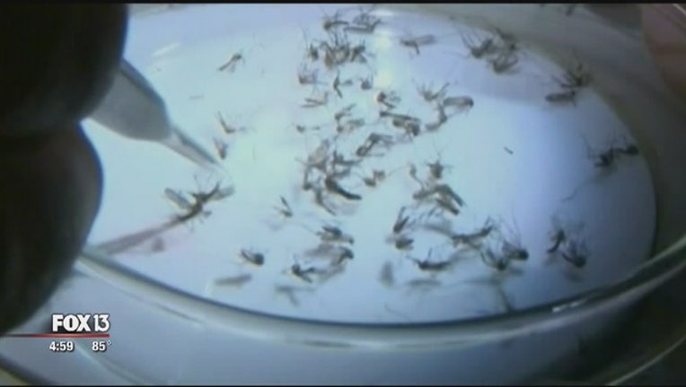 b320e57b-Zika_and_tourism_0_20160523213121