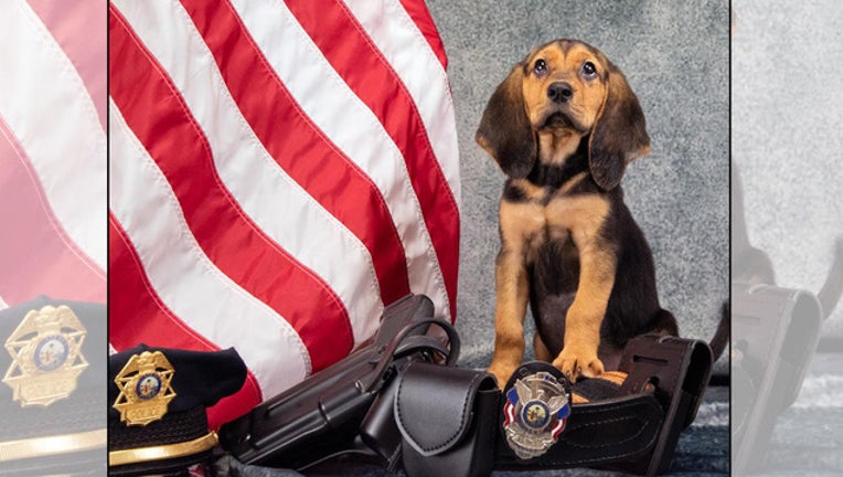0cabd105-bradenton recruit_1554376038248.jpg.jpg