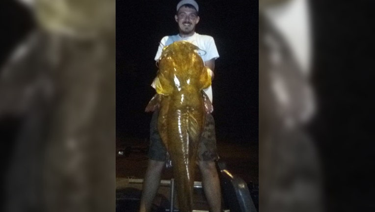 9d1a04d0-flathead-catfish_1562181770522.jpg
