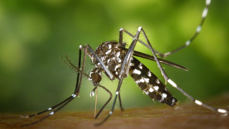 generic mosquito stock photo_1517306913787.jpg.jpg