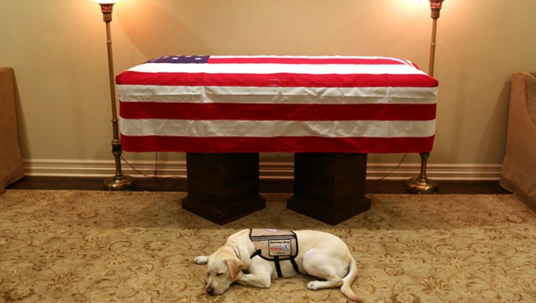 6256d81e-ghwbush service dog sully jim mcgrath_1543810682502.jpg-401720.jpg