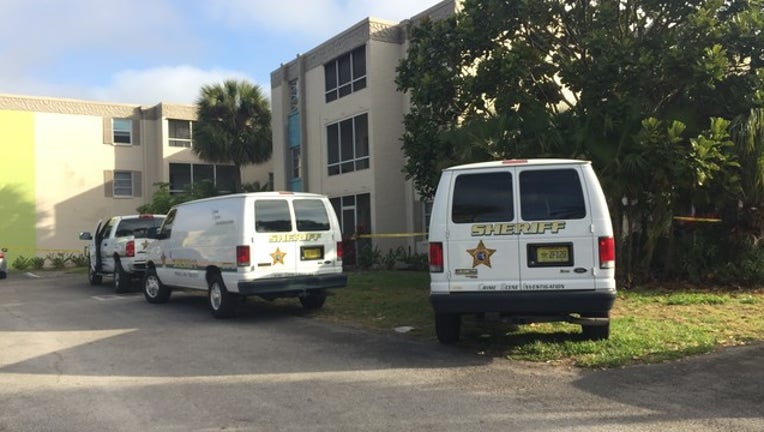 c60911b6-st pete fatal stabbing.jpeg