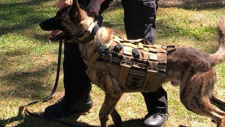fa6c6eda-k9 vests sarasota co_1524655313576.jpg.jpg