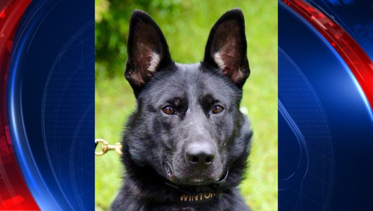 3e221197-k9officer_web_1491218809285.jpg