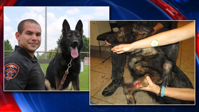 K9 Officer Stabbed While Tracking Strangling Suspect