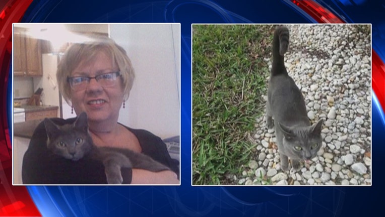 0f051a4f-kitty cat_1456359955649.jpg