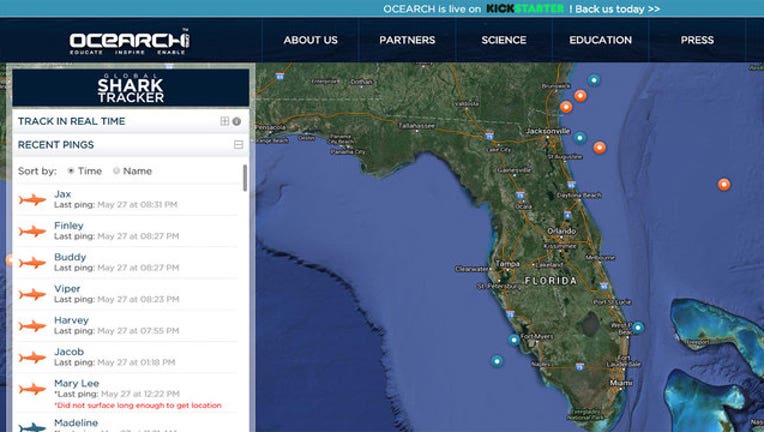 1cd10b2e-ocearch-shark-tracker_1464404913398-402429.jpg
