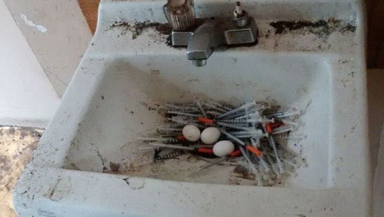 6bd7fc77-piegon-nest-in-needles_1494081879068-404023.jpg