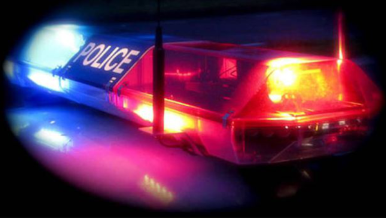 7c29c584-police lights cruiser officer_1453861611616.png