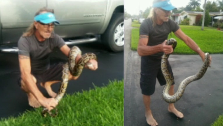 2bdb6e22-python in florida_1495564396624.jpg