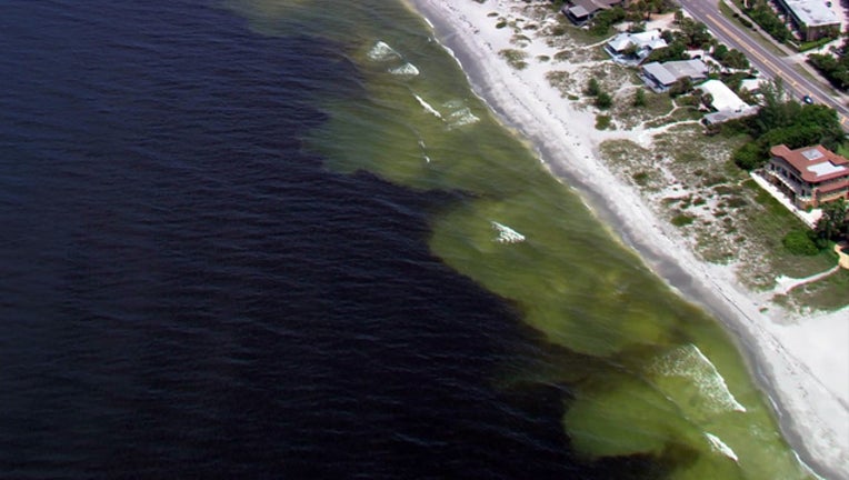 d82b0216-red tide sarasota WTVT_1539030682854.jpg.jpg