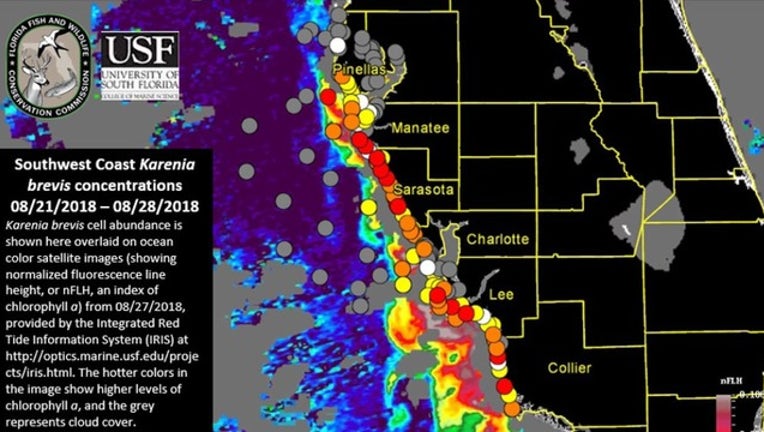 dba4411a-red tide_FWC_082918.jpg