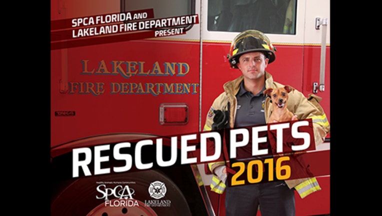 21157098-rescued pets_1449614820371.jpg