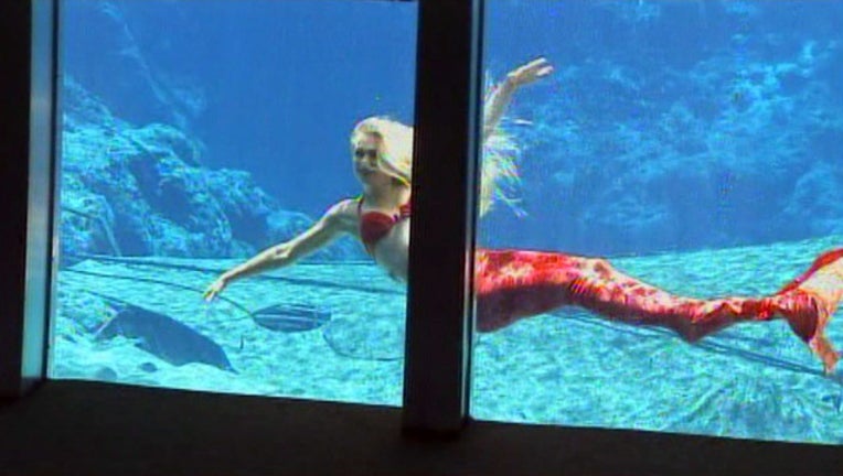 0b64fec7-weeki wachee mermaid_1515690039333.jpg.jpg