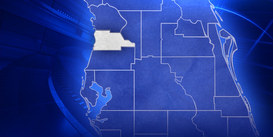 Hurricane Eta information: Hernando County