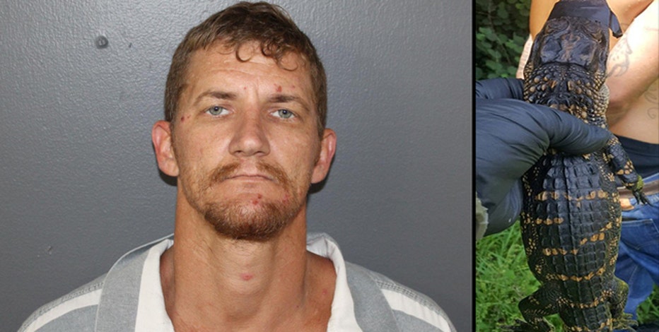 Florida Man Had Baby Alligator In Front Seat Of His Car Deputies Say
