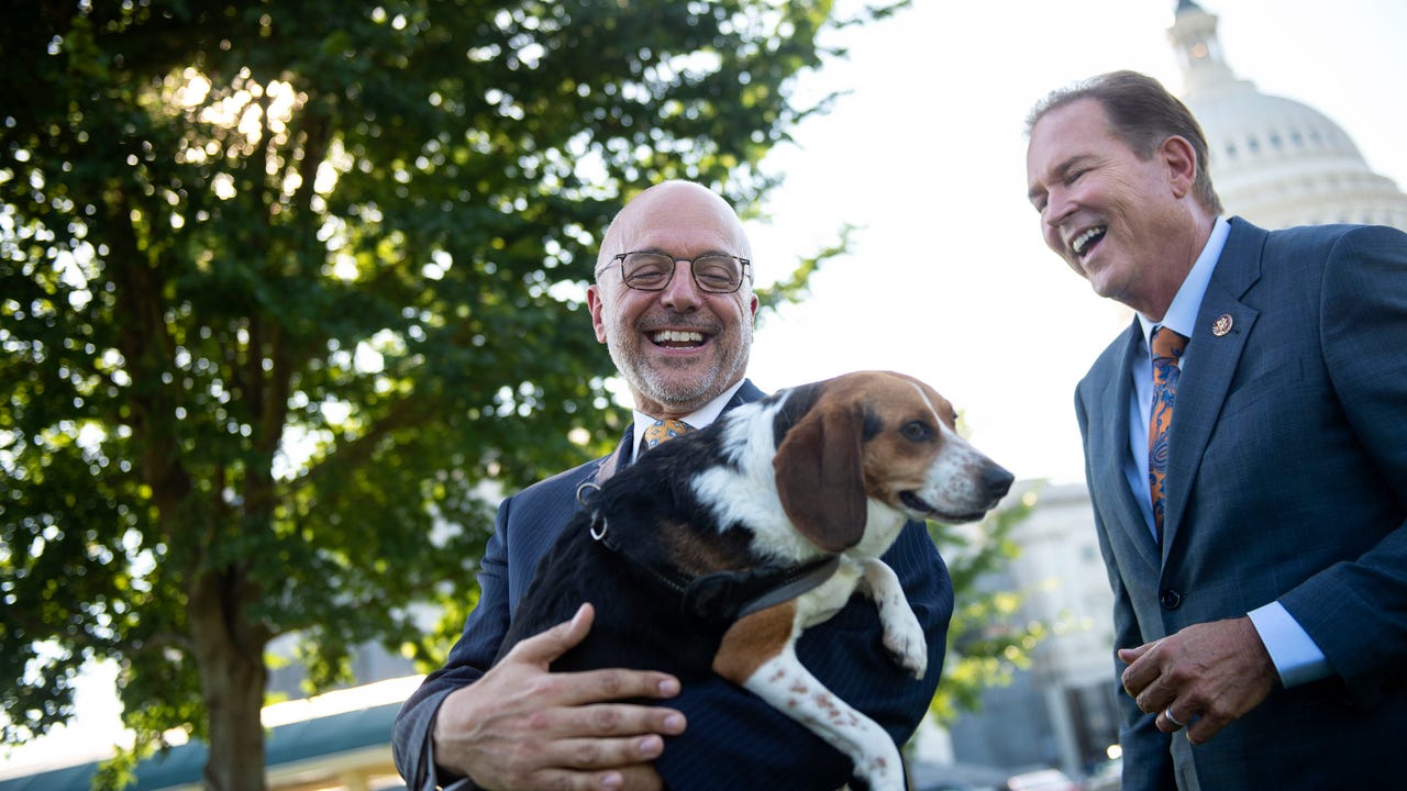 A significant milestone': House unanimously passes bill to make animal cruelty a federal felony A significant milestone': House unanimously passes bill to make animal cruelty a federal felony