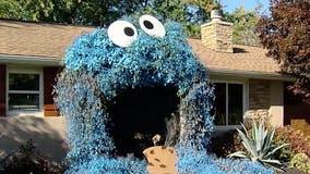 Woman's Halloween display of giant Cookie Monster amazes community