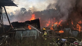 Arsonist may have set fire to barns on Brooksville property