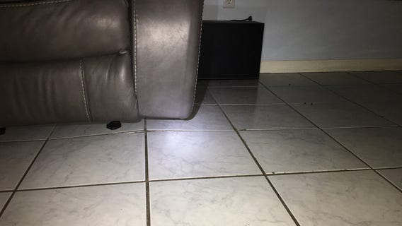 Floors buckle as depression forms under Lutz home