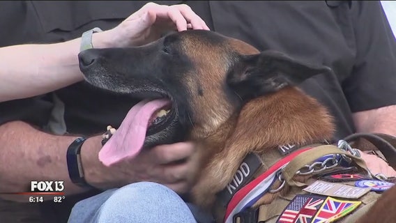 Retired handler says military working dogs save lives