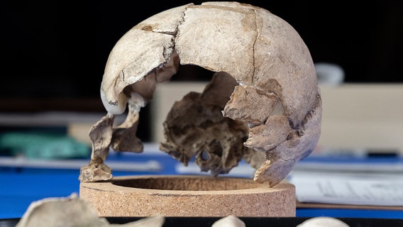 USF's Erin Kimmerle testing human remains that may belong to Amelia Earhart