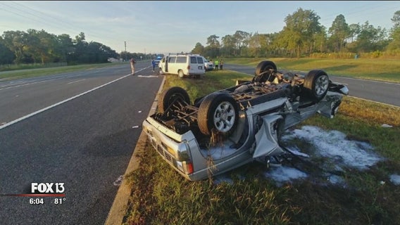 Crash kills racing pigeons being transported for training