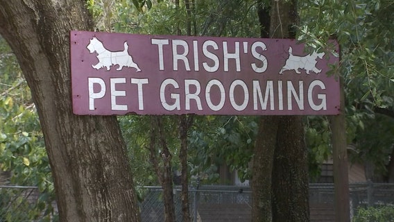 Property owner of Tampa breeding facility previously banned from owning dogs