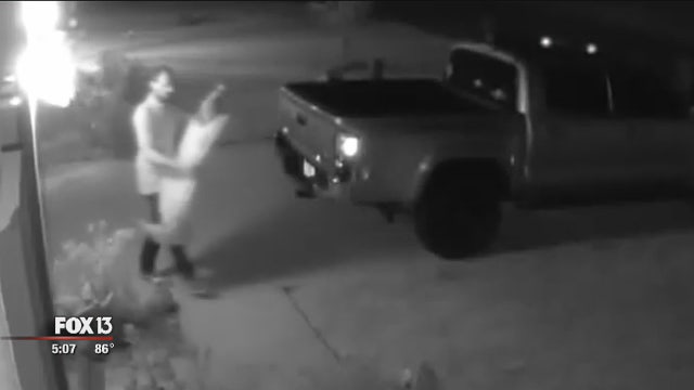 Halloween decoration thief targets Palmetto neighborhood