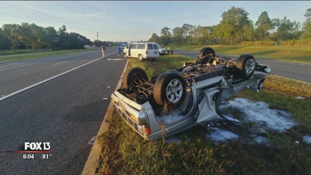 Crash kills racing pigeons being transported for training