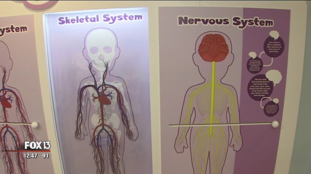 New Glazer's exhibit helps kids become familiar with real medical equipment